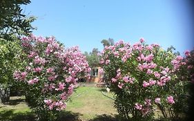 Villa Olia