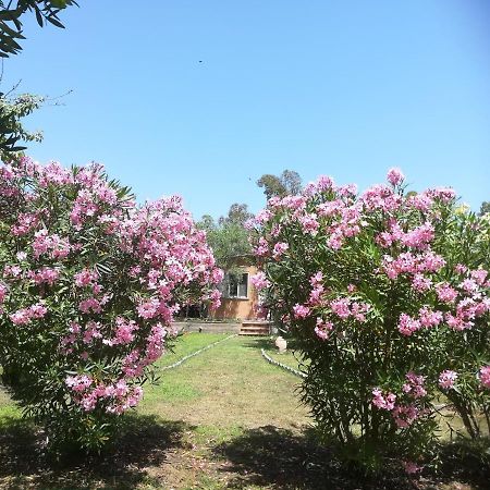 Villa Olia Tortolì Esterno foto
