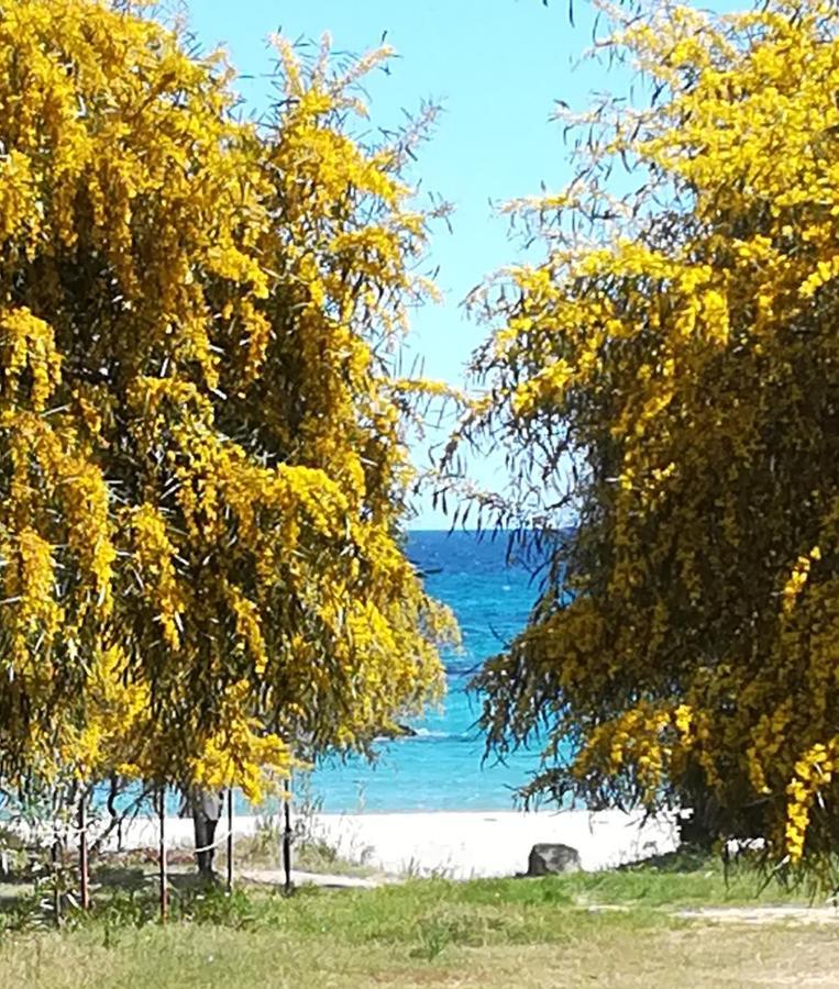 Villa Olia Tortolì Esterno foto